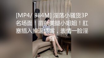 [MP4/ 384M] 淫荡小骚货3P名场面！苗条美腿小姐姐！肛塞插入操逼插嘴，表情一脸淫骚