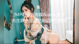 [MP4]麻豆传媒&amp;兔子先生联合出品之街边搭讪兼职巨乳人妻