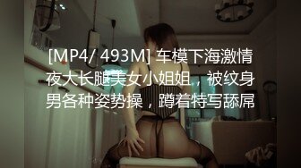 [MP4/ 493M] 车模下海激情夜大长腿美女小姐姐，被纹身男各种姿势操，蹲着特写舔屌