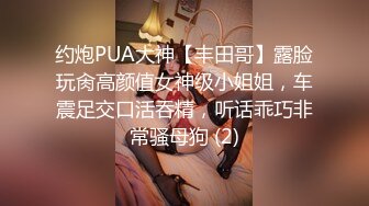 约炮PUA大神【丰田哥】露脸玩肏高颜值女神级小姐姐，车震足交口活吞精，听话乖巧非常骚母狗 (2)