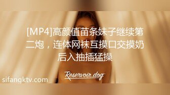 良家女教师2