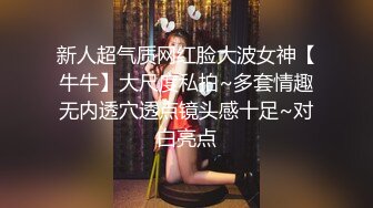 新人超气质网红脸大波女神【牛牛】大尺度私拍~多套情趣无内透穴透点镜头感十足~对白亮点