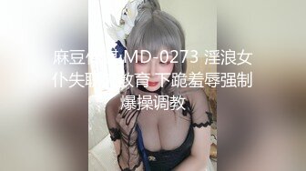 麻豆传媒 MD-0273 淫浪女仆失职欠教育 下跪羞辱强制爆操调教