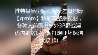 推特极品蛮腰肥臀反差母狗婷【gxmm】私拍完整版视图，各种人前露出户外3P野战淫语内射放尿公园打炮吓坏保洁大叔 (6)