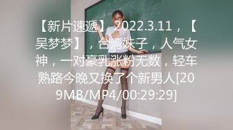 【新片速遞】 2022.3.11，【吴梦梦】，台湾妹子，人气女神，一对豪乳涨粉无数，轻车熟路今晚又换了个新男人[209MB/MP4/00:29:29]